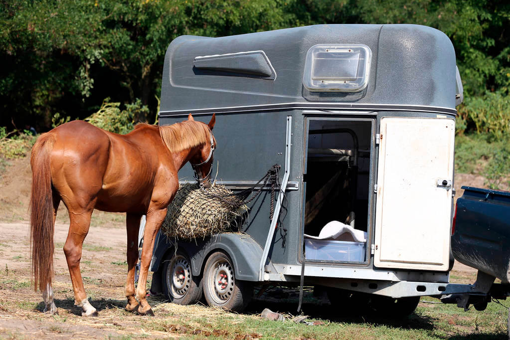 Gama high speed - Atrelado cavalo